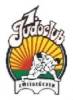 judologo2.jpg